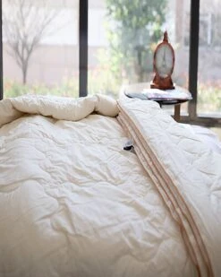 Luxury Renewable Natural Wool Pillow -Home Furnishing Store 3030664935 RLLD 3