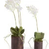 Set Of 2 Dendrobium Drops