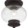Livex Lighting Harbor 1-Light Bronze Ceiling Mount Home