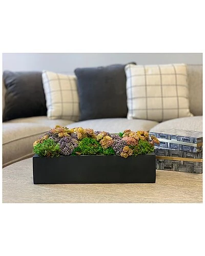 Pink Sedum And Moss Floral Arrangement Home 2 Pink Sedum And Moss Floral Arrangement Home - Image 2