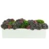 Purple Sedum And Moss Floral Arrangement Home