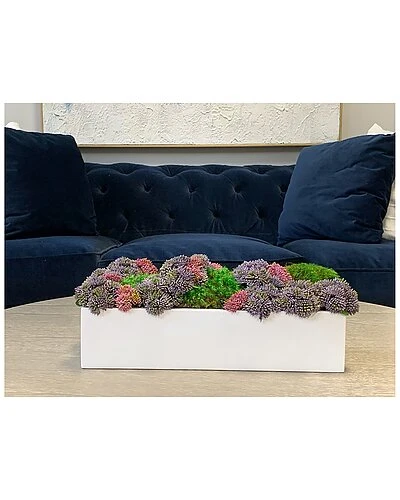 Purple Sedum And Moss Floral Arrangement Home 2 Purple Sedum And Moss Floral Arrangement Home - Image 2