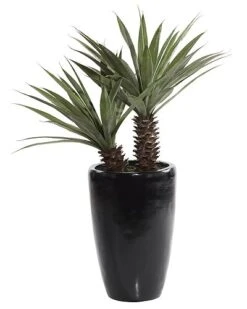 Fiberglass Artificial Foliage Home