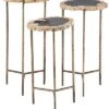 Set Of 3 Petrified Accent Tables Home