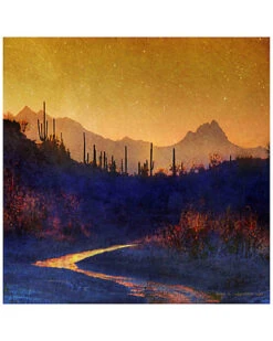 Sunset Saguaros Stream Home