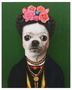 Pets Rock Mexico Graphic Art On Wrapped Canvas Wall Art Home