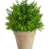 8in Boxwood Artificial Plant In Planter Home