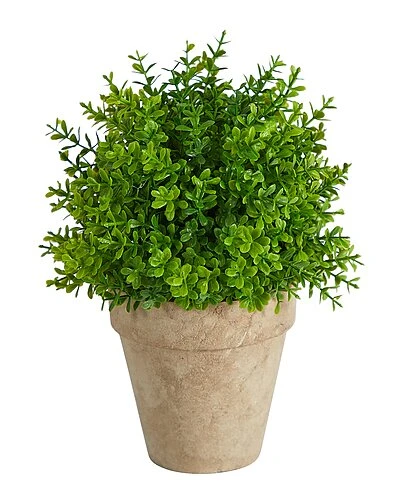 8in Boxwood Artificial Plant In Planter Home 1 8in Boxwood Artificial Plant In Planter Home