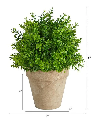 8in Boxwood Artificial Plant In Planter Home 3 8in Boxwood Artificial Plant In Planter Home - Image 3