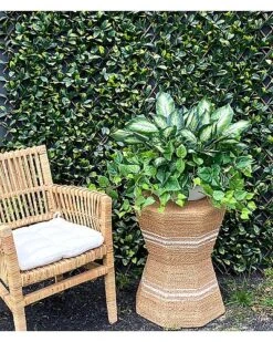 Outdoor Philo And Dieffenbachia Bush Home 7 Outdoor Philo And Dieffenbachia Bush Home -Home Furnishing Store 3050644836 RLLD 4