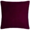 Velvet Polyester Pillow Home