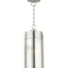 Livex Lighting 2-Light Brushed Nickel Outdoor Pendant Lantern Home