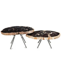Set Of 2 Lastra Nesting Coffee Tables Home