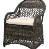 Safavieh Davies Outdoor Wicker Arm Chair With Cushion Home
