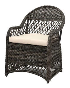 Safavieh Davies Outdoor Wicker Arm Chair With Cushion Home