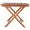 Safavieh Kresler Outdoor Folding Table Home